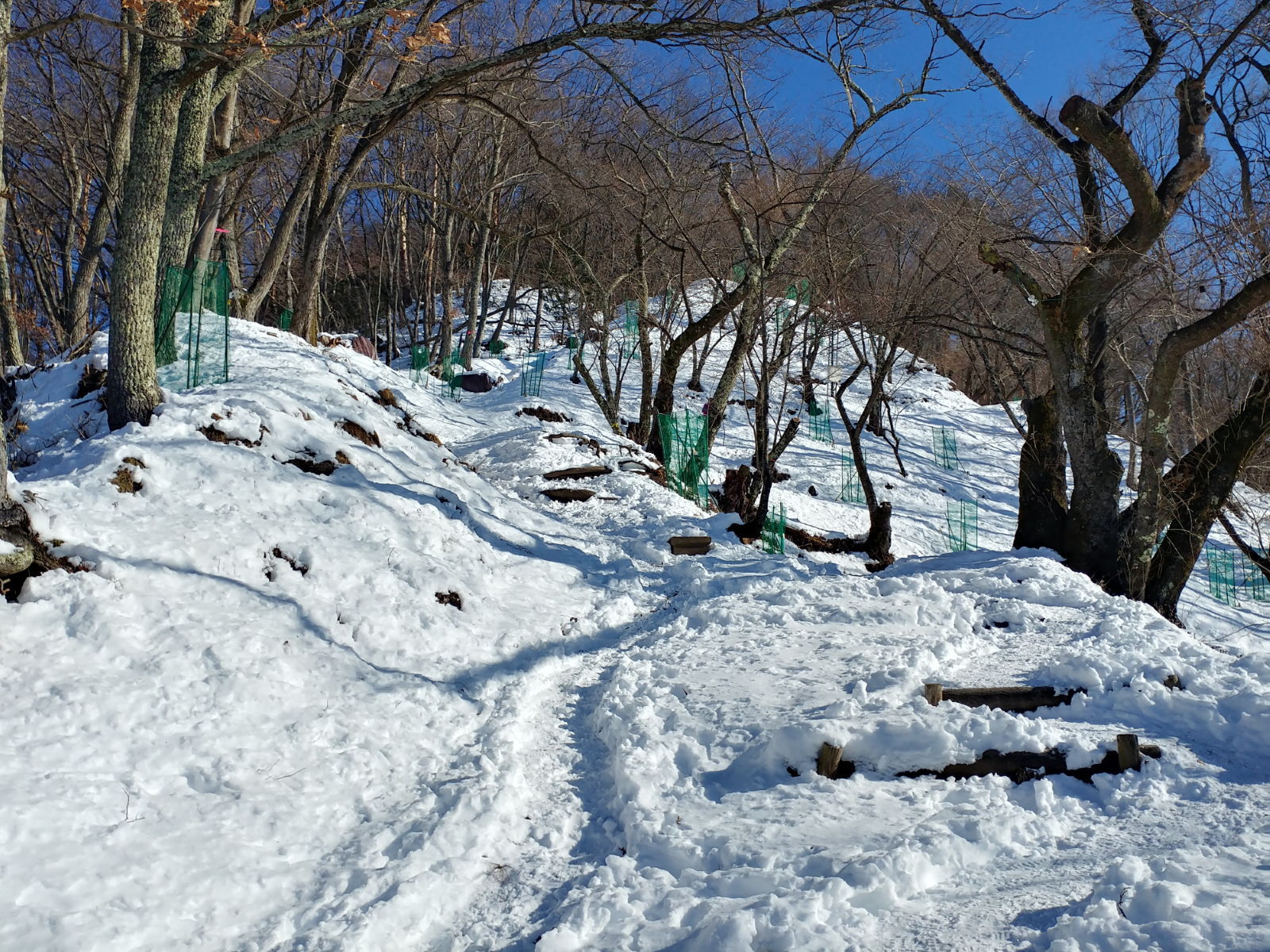 雪の光城山山頂で食べる美麻ベーカリーのホカッチャ　＠大町市グルメ