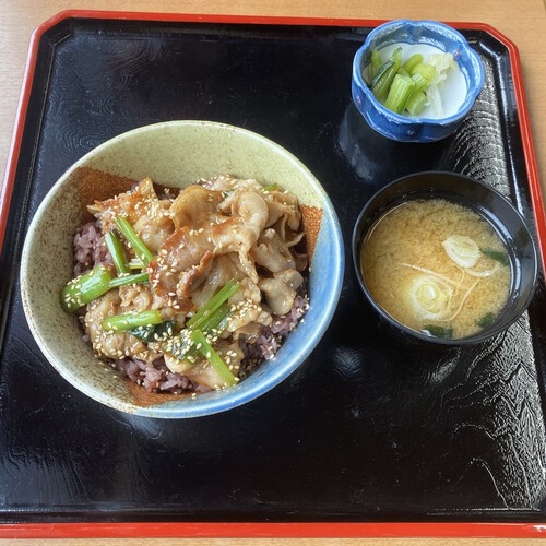 はくばの行者にんにく焼豚丼　＠北安曇郡白馬村道の駅グルメ