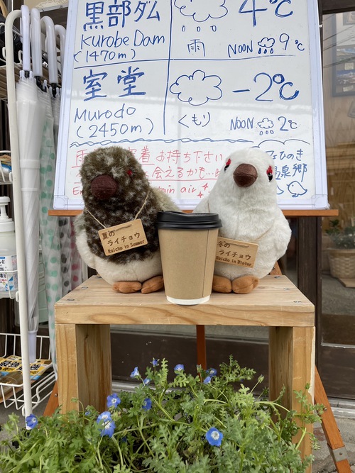 カフェひのき　モーニングホットドック＆ヒマラヤチャイ（ミルクティー）＆ソフトクリーム　大町温泉郷バス停前