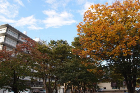 市長選挙