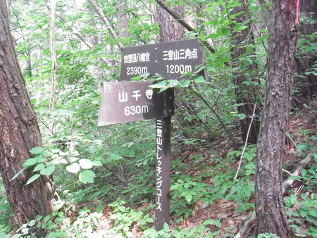 三登山登山
