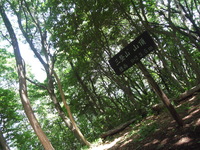 三登山登山
