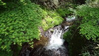 水の音