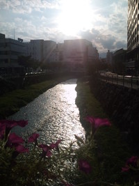 秋の女鳥羽川