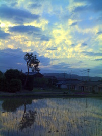 夕焼けに
