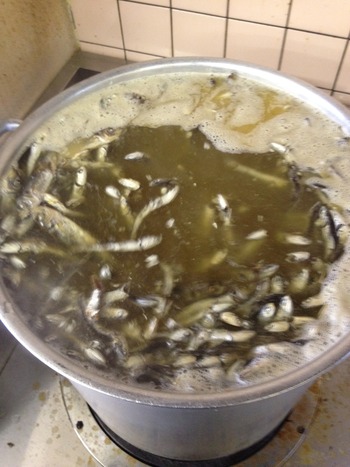 醤油ラーメンの正体