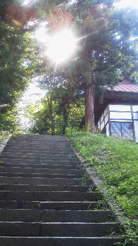 最近読んだ本