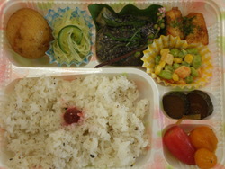 お弁当をプレゼントに