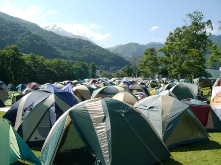 夏フェスの季節