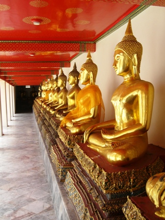 タイから帰ってきました！