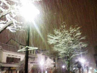 長野は大雪・・・