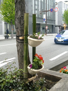 商店街の花植え