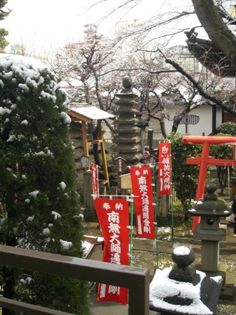 3月末の雪