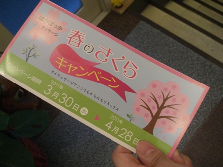 チラシ配りはじめました～。