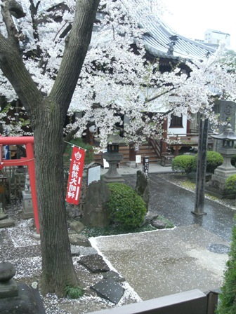 雨降っちゃった・・・。