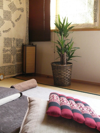 新しい植物「ユッカ」