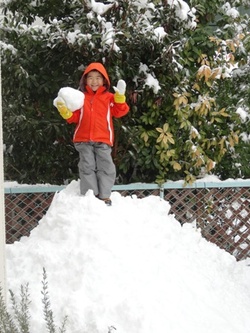 雪・雪・雪・・・