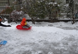 雪・雪・雪・・・