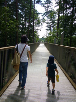 国営アルプス安曇野公園