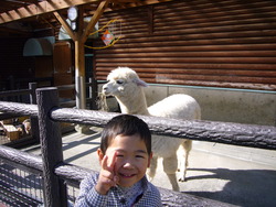 動物園