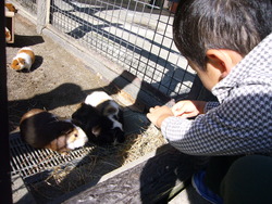 動物園