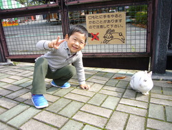 動物園