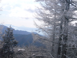 家族でスキーに・・・