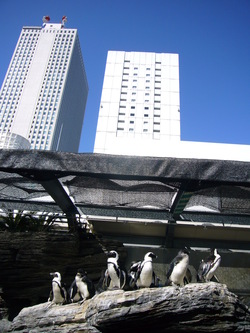 子鉄日記⑪・・・地下鉄博物館