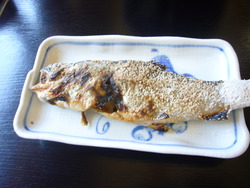 初めての釣り堀