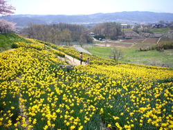 いろいろな公園