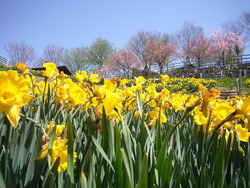 いろいろな公園