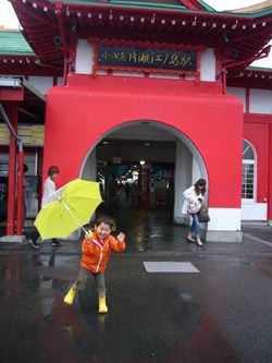 子鉄日記⑭・・・江ノ島・鎌倉