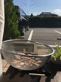 塩尻市ウェルカムギフト