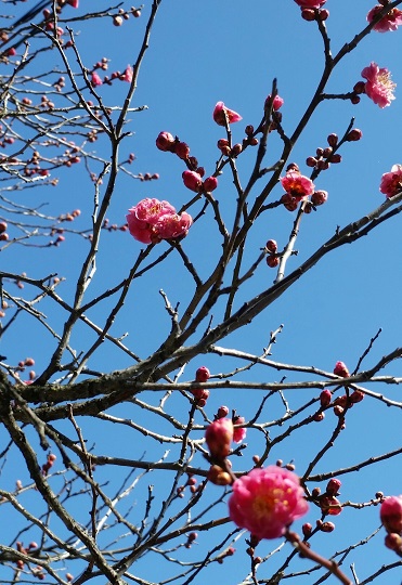 29年3月4日の呟き