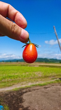 北海道らしい天気ですよ。