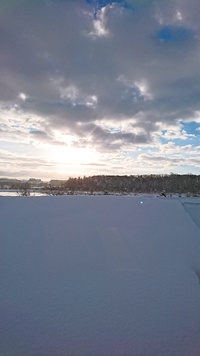 降り続いた雪も今日はお休み。
