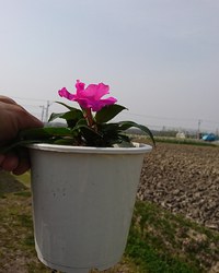 廃棄を少なくして一円でも多く。