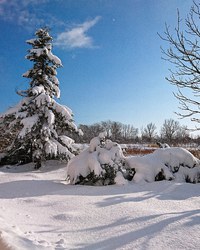 一気に北海道の雪景色。
