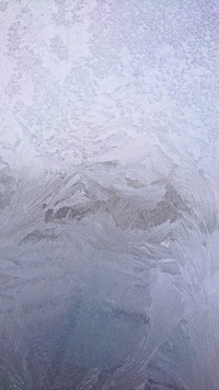 久し振りの氷点下12℃