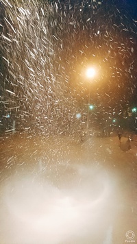 大雪警報２日め！！