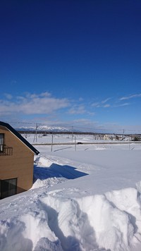 朝から快晴の今日は今季初の。