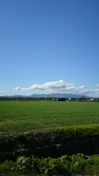 絶好の農作業日和‼️