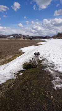 農道散歩まで後少し。