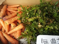 野菜、卵入荷しました。