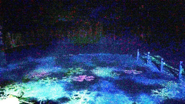 白糸の滝　　ライトアップ　イリュージョン　　観てきたよぉ　　☆