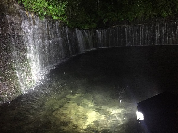 白糸の滝　　ライトアップ　イリュージョン　　観てきたよぉ　　☆