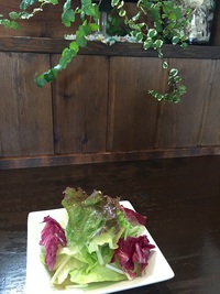 トラットリア・オグラ　　さん　　で　　ランチ　　☆