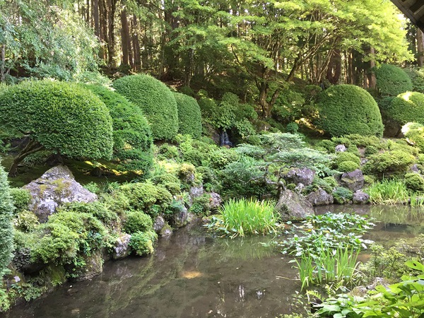 光前寺　　さん　　へ　　拝観に　　行ってきたー　　パート２　☆