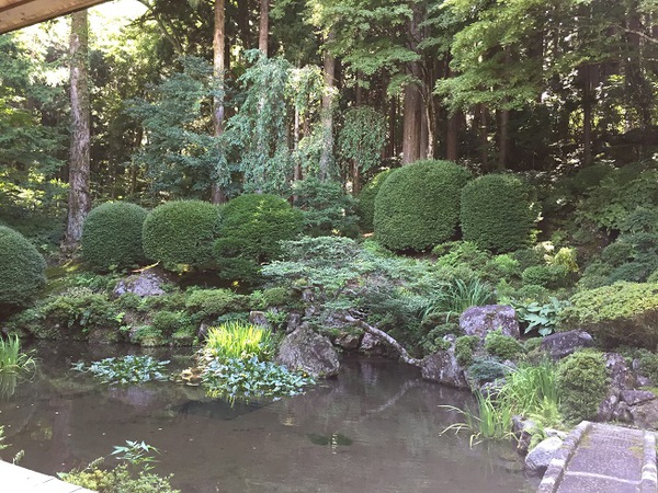 光前寺　　さん　　へ　　拝観に　　行ってきたー　　パート２　☆