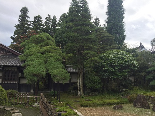 本陣　　等々力家　　さん　　を　　見学～　　☆